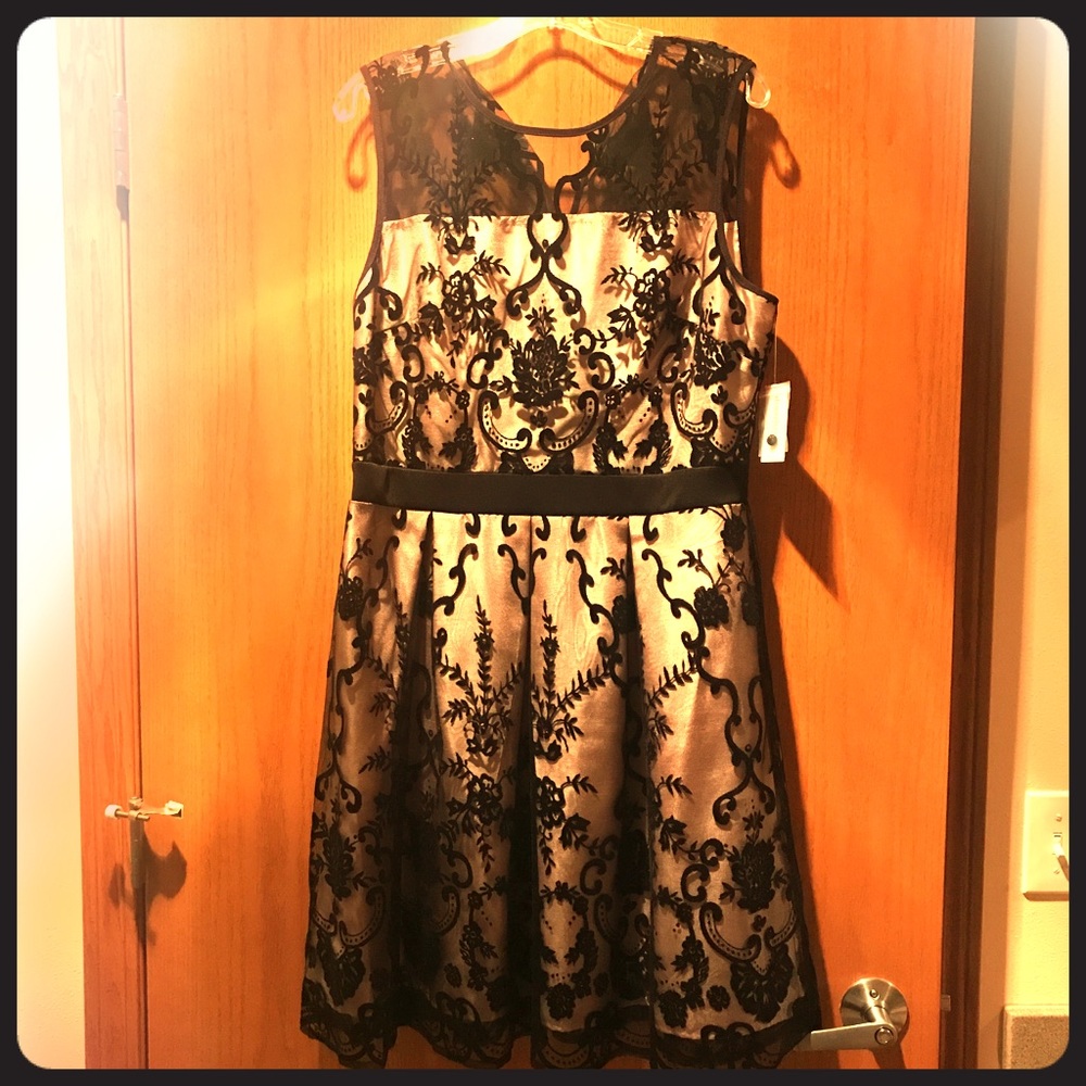 Dressbarn Satin Blush Dress with Black Overlay